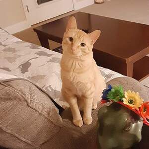 Fundraising Page: Jill & Art Webber